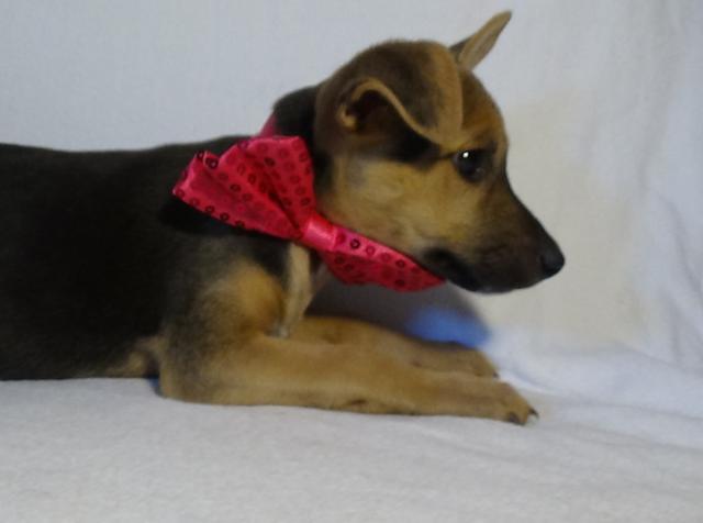 multimedia-foto43803-554-3