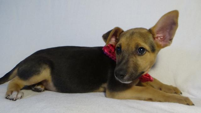 multimedia-foto43804-554-3