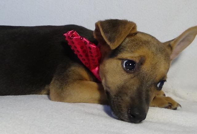 multimedia-foto43805-555-3