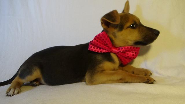 multimedia-foto43806-555-3