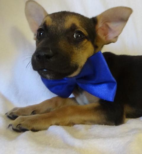 multimedia-foto43809-583-3