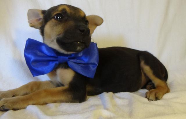 multimedia-foto43810-584-3