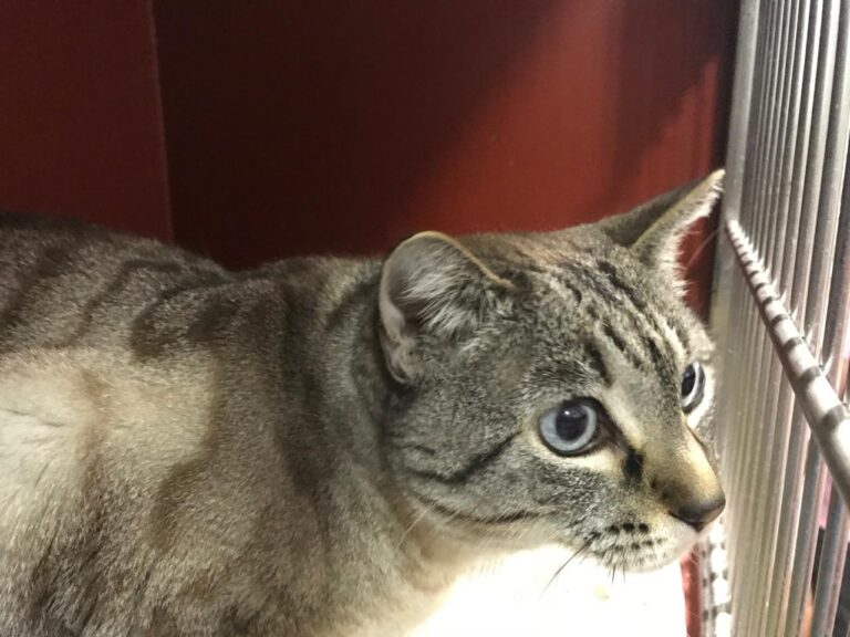 multimedia-foto43850-944-3