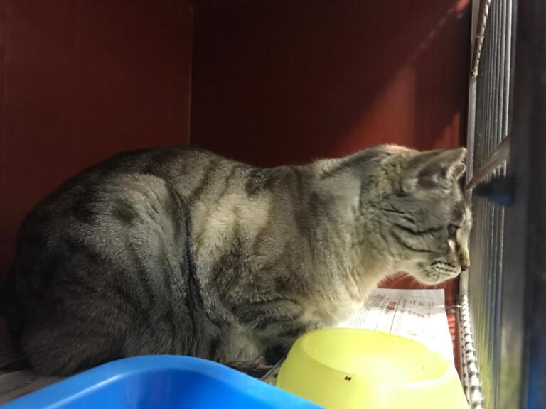 multimedia-foto43853-981-3