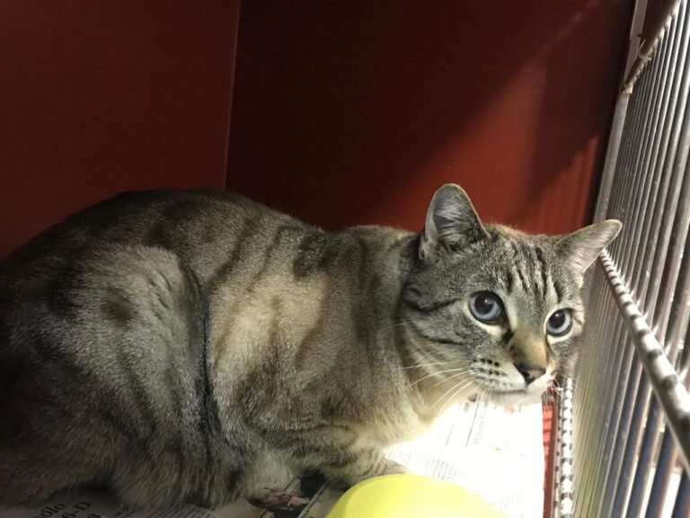 multimedia-foto43854-982-3