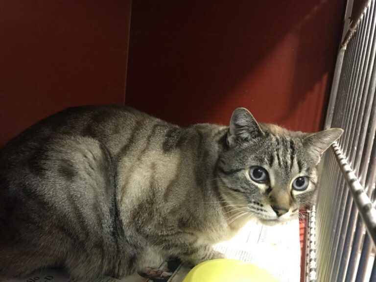 multimedia-foto43855-983-3