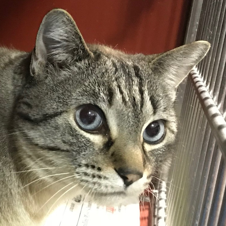 multimedia-foto43856-983-3