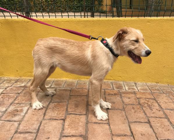 multimedia-foto43874-377-3