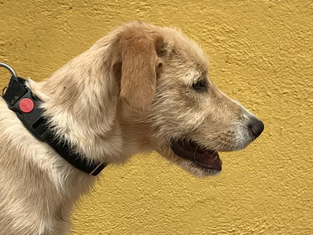 multimedia-foto43875-378-3