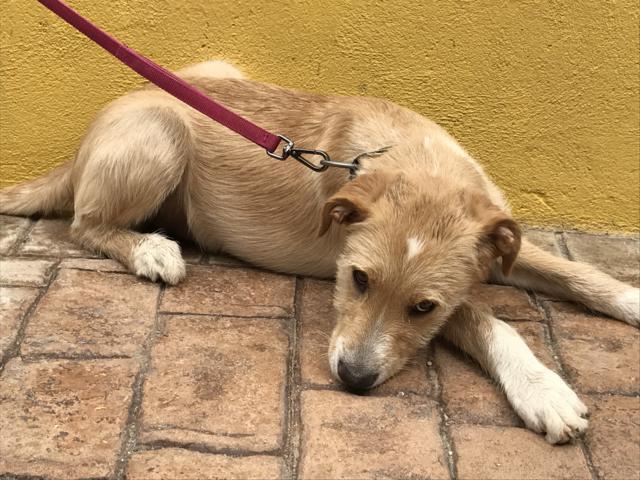 multimedia-foto43877-379-3