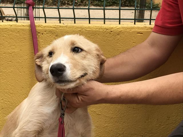 multimedia-foto43878-407-3