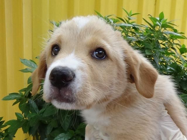 multimedia-foto43879-407-3