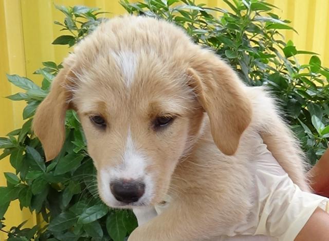 multimedia-foto43880-408-3