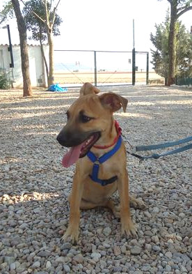 multimedia-foto43901-814-5