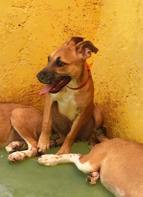 multimedia-foto43902-814-5