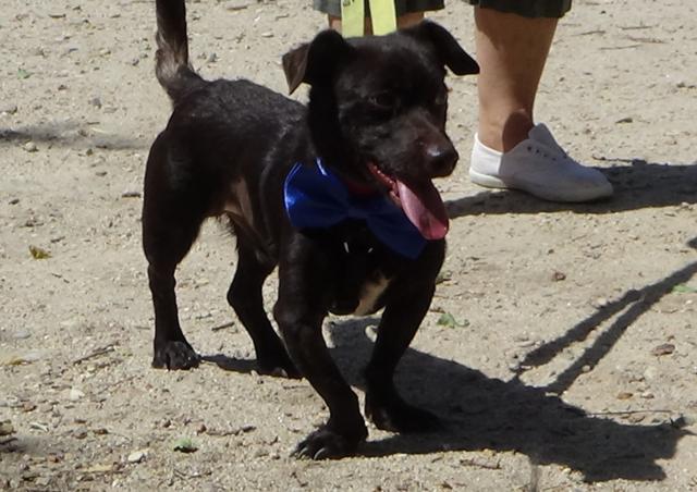 multimedia-foto43903-163-3