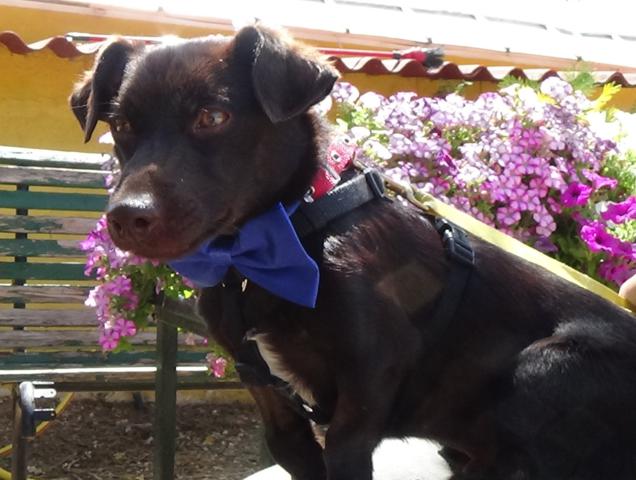 multimedia-foto43904-163-3