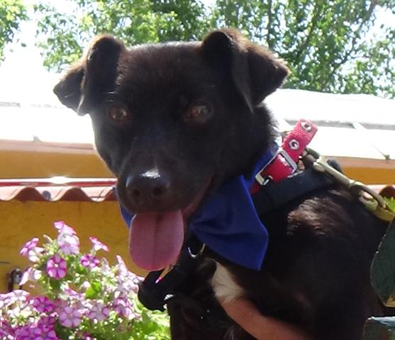 multimedia-foto43905-163-3