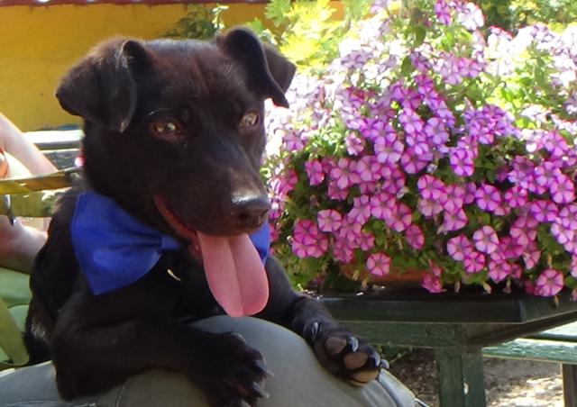 multimedia-foto43906-164-3