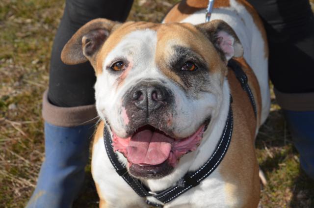 multimedia-foto43964-14-3