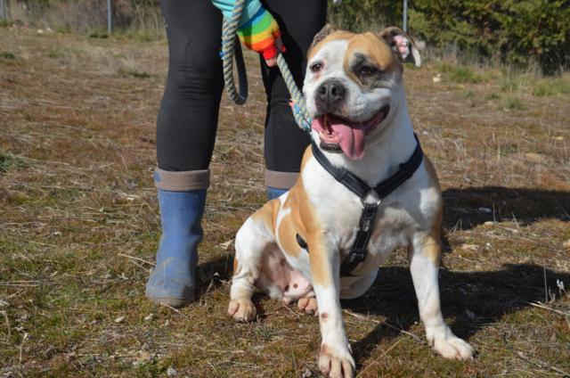 multimedia-foto43965-15-3