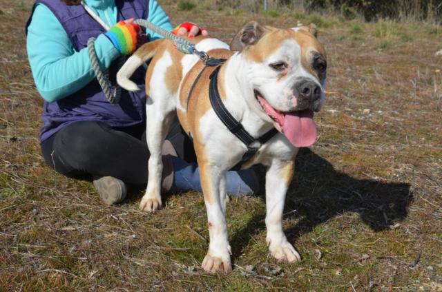 multimedia-foto43966-15-3