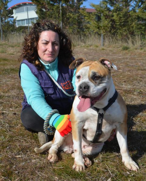 multimedia-foto43967-16-3