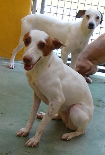 multimedia-foto43987-51-3