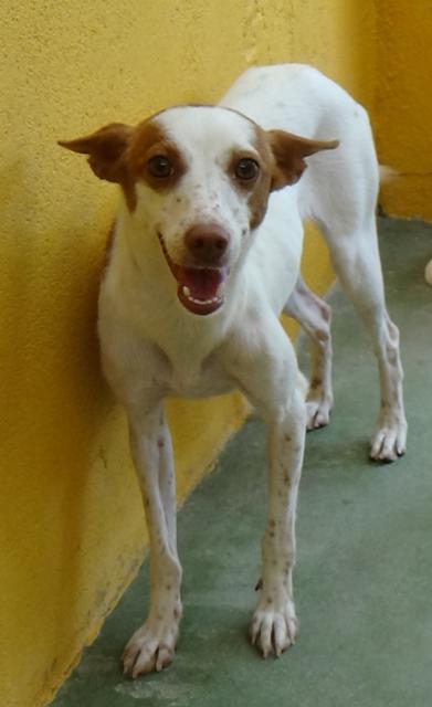 multimedia-foto43988-51-3