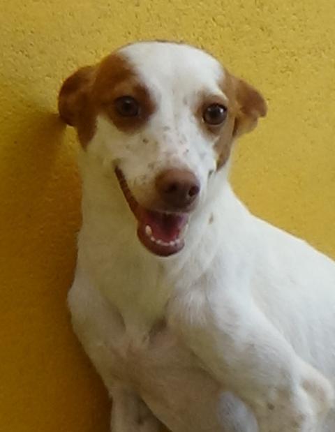 multimedia-foto43989-51-3