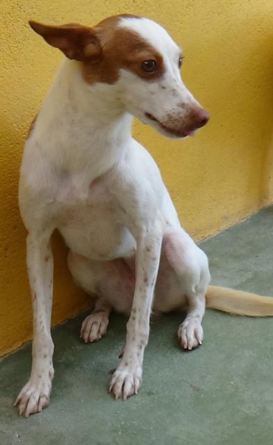 multimedia-foto43990-52-3