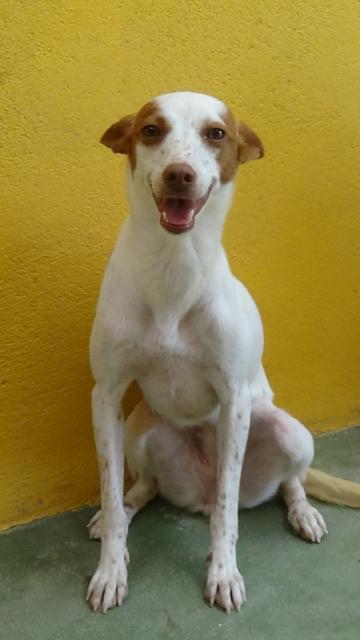 multimedia-foto43991-65-3