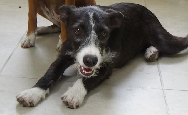 multimedia-foto43992-294-3