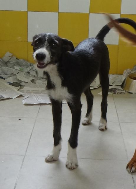 multimedia-foto43993-294-3