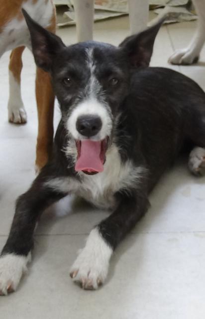 multimedia-foto43994-295-3