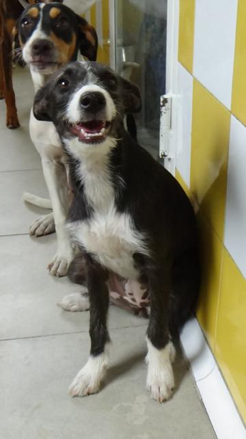 multimedia-foto43995-295-3