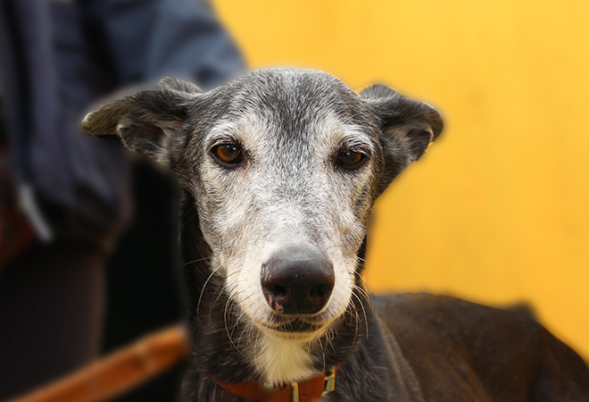 multimedia-foto44012-562-3