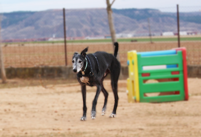 multimedia-foto44013-562-3