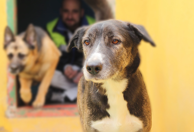 multimedia-foto44035-397-3