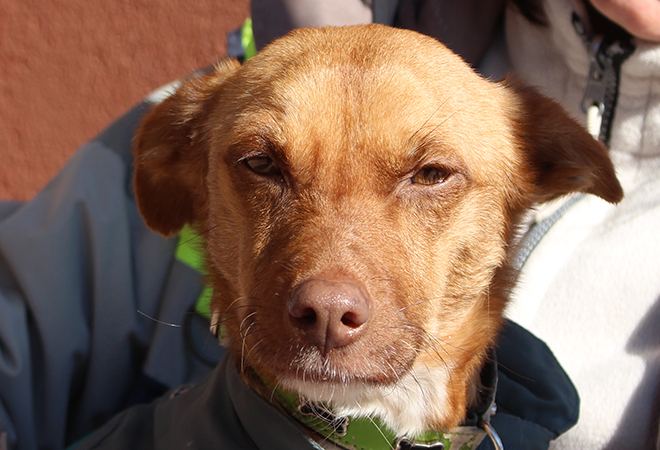 multimedia-foto44060-346-3