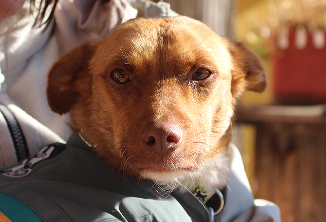 multimedia-foto44061-348-3