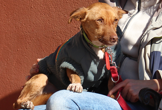 multimedia-foto44063-349-3