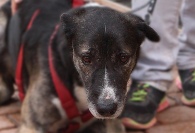 multimedia-foto44068-986-3