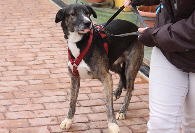 multimedia-foto44069-987-3