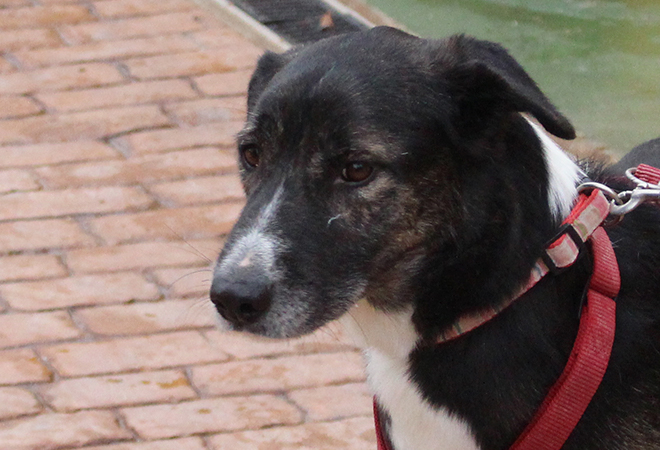 multimedia-foto44070-987-3