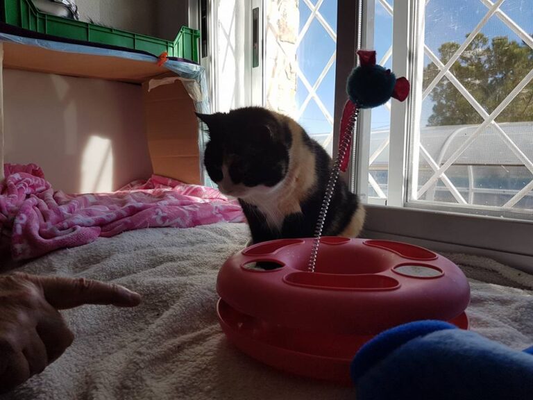 multimedia-foto44073-628-3