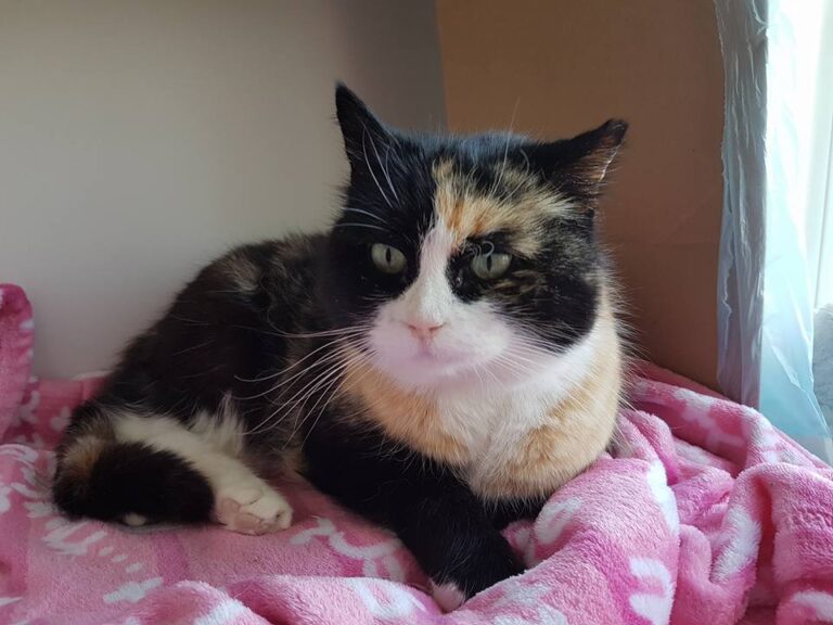 multimedia-foto44075-659-3