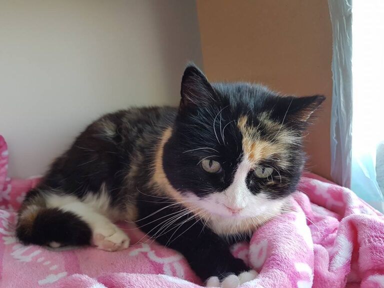 multimedia-foto44076-659-3