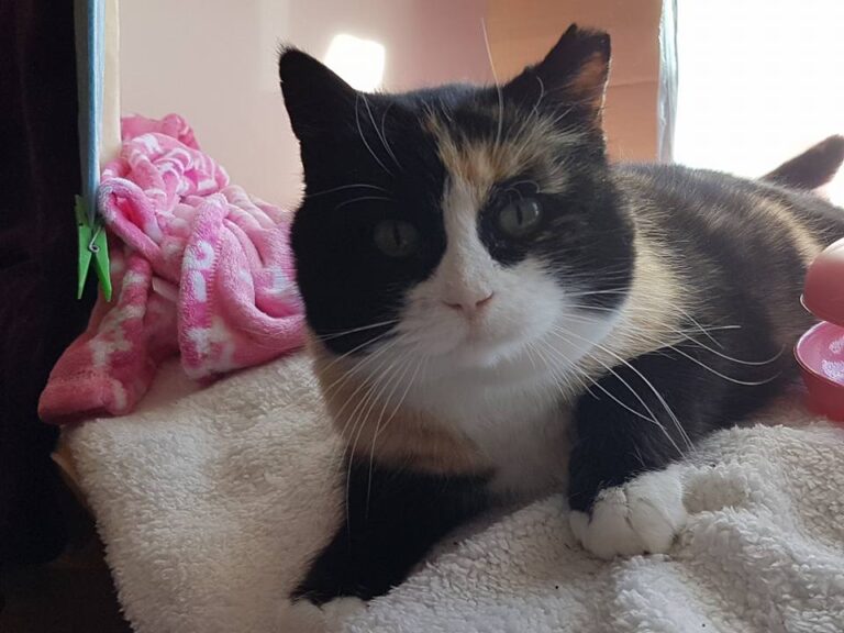 multimedia-foto44077-660-3