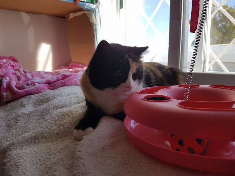 multimedia-foto44078-660-3